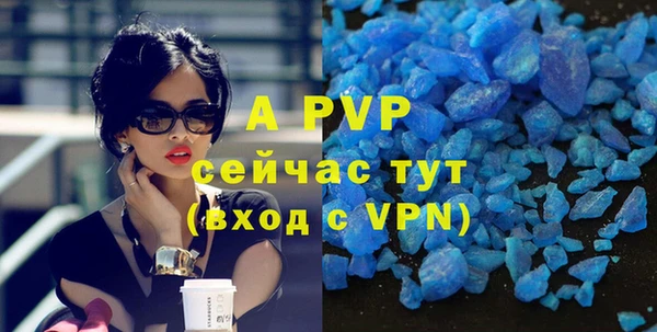 сатива Абаза