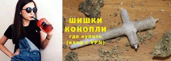 сатива Абаза